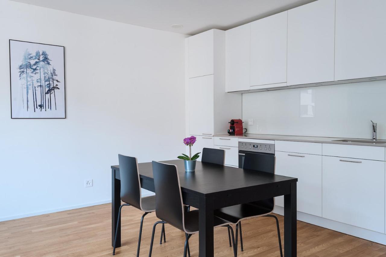 Hitrental Basel Apartments Экстерьер фото